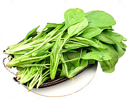 菠菜