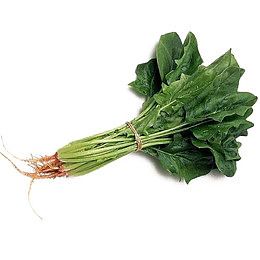 新鲜菠菜
