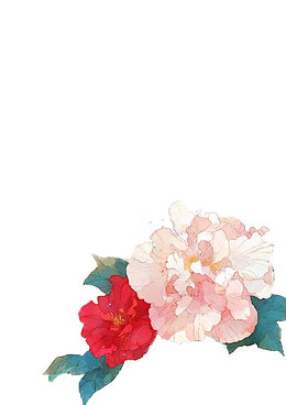 唯美古风水彩芙蓉花