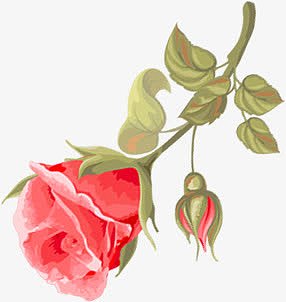 创意合成水彩红色的玫瑰花
