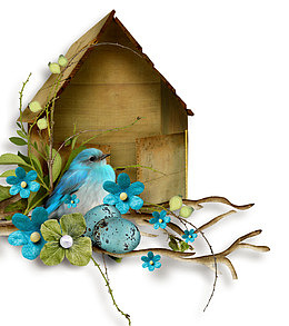 可爱的小鸟和木头鸟屋