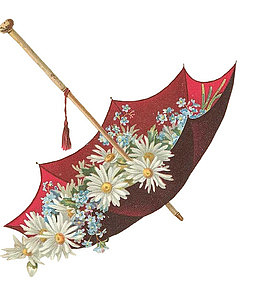 伞花