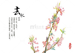 草本植物