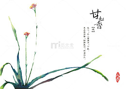 草本植物