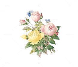 小清新手绘花朵 叶子装饰 蝶恋花
