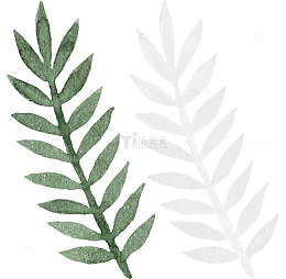 小清新手绘树叶插画素材