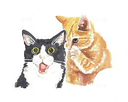 猫咪