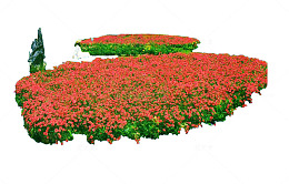 鲜花花坛