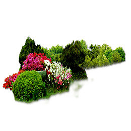 花坛
