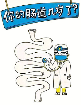 你的肠道几岁