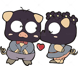 卡通示爱小猪
