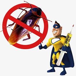 消灭小强的超人