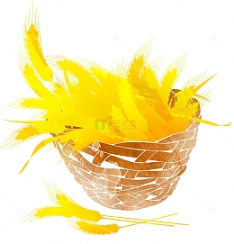 手绘麦穗芒种二十四节气插图