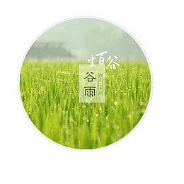 圆形谷雨节气插画