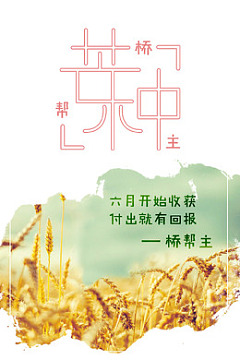 芒种二十四节气麦穗海报