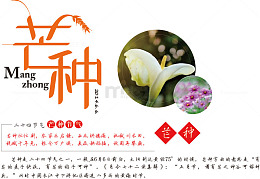 二十四节气设计宣传图