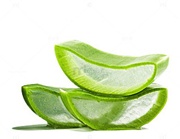 新鲜芦荟切片