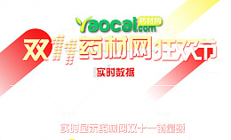 双11狂欢节