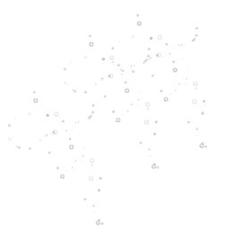 水泡