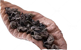 绿色木耳素材图