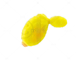 酵母菌