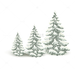 落了雪的松柏树