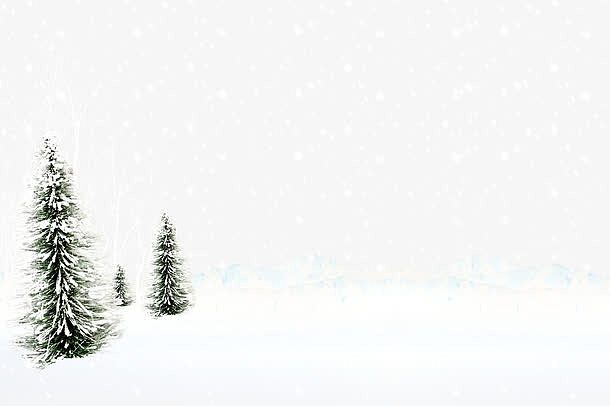 雪地落雪的树