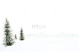 雪地落雪的树