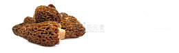 褐色食品行业的羊肚菌
