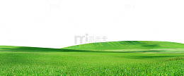 绿色环保地平面