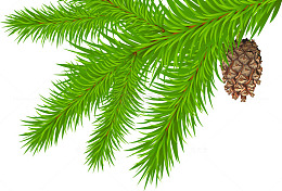 松树叶子松果图案