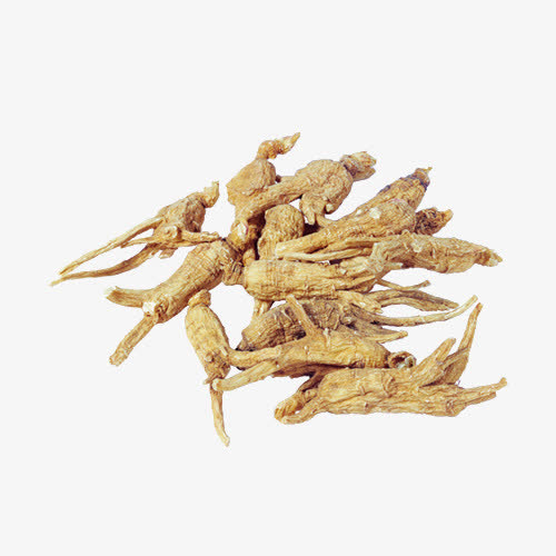 当归免抠素材免费下载_觅元素51yuansu.com