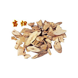 中药名牌名贵中药材
