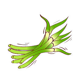 蒜台 蔬菜 有机蔬菜 手绘 生食