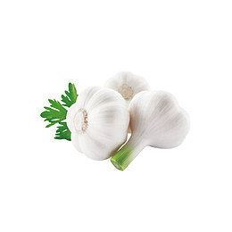 蔬菜白大蒜