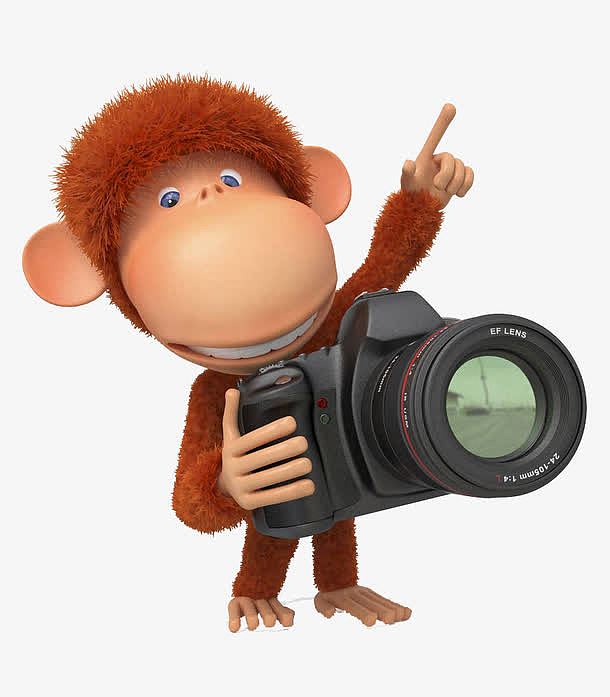 拿着相机的猴子