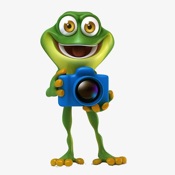 拿着相机的青蛙