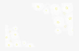 创意半透明枫叶素材免抠素材免费下载 觅元素51yuansu Com