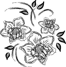 素描花卉