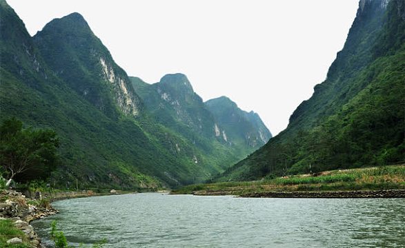 png实拍山水风景(1136x556)png森林深处百年树木野鹿太阳光(2500x1562
