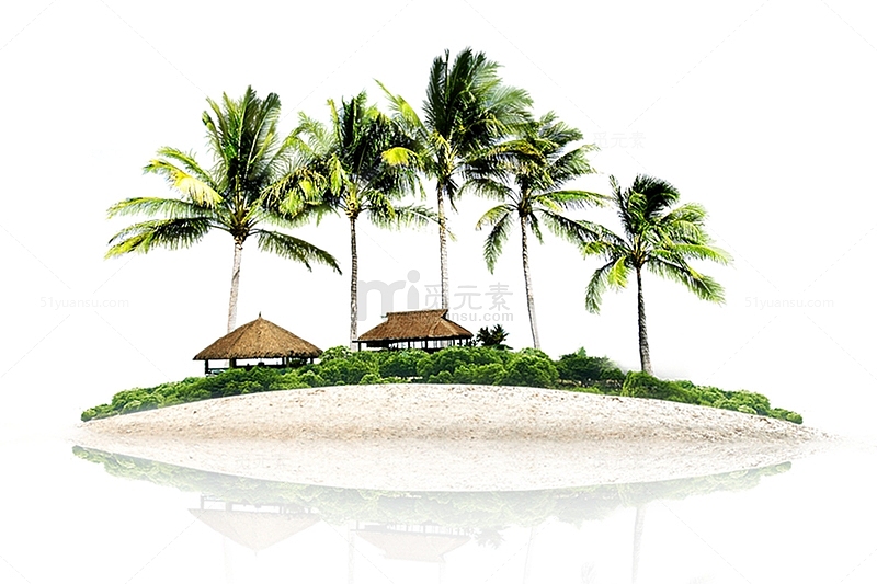 椰子树度假岛