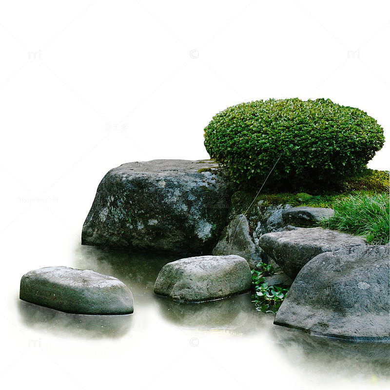 石头树丛