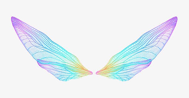 鸟羽毛彩色  梦幻炫彩蝴蝶翅膀