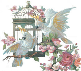 卡通手绘花朵鹦鹉装饰