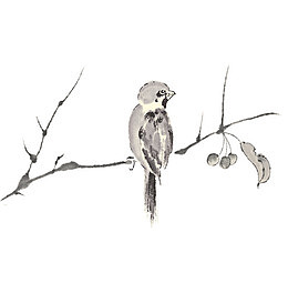 站在树枝上的鸟