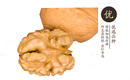 山核桃仁