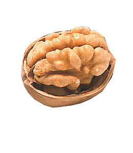 山核桃仁