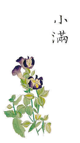 小满
