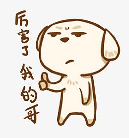 厉害了我的哥小狗表情包