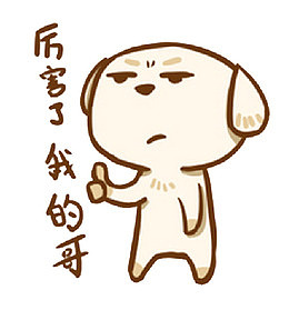 厉害了我的哥小狗表情包